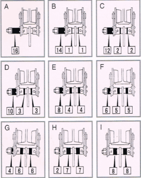 specifications rex PT