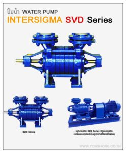intersigma-svd-series-1-247x300