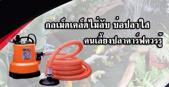 202008 content banner yht 003 1200