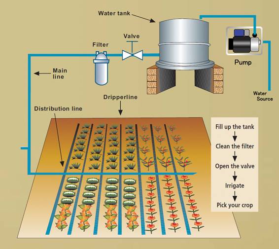 System design for water use in agriculture 1 1
