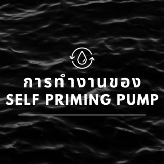 การทำงานของ Self Priming Pump