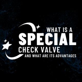 What is a Special Check Valve and what are its advantages