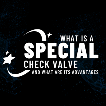 Special check valve