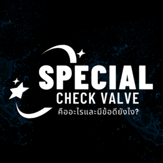 Special Check Valve คืออะไรและมีข้อดียังไง?