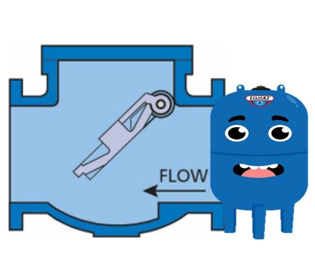 Special check valve