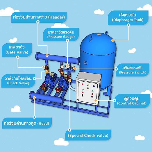 Special check valve