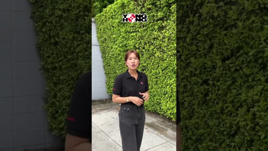 YouTube Videos 5 EtBLBVNOyKo